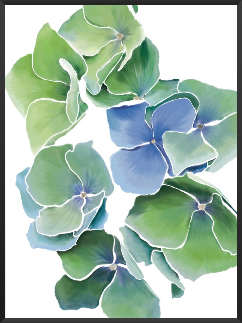 Blaue Hydrangea - Poster
