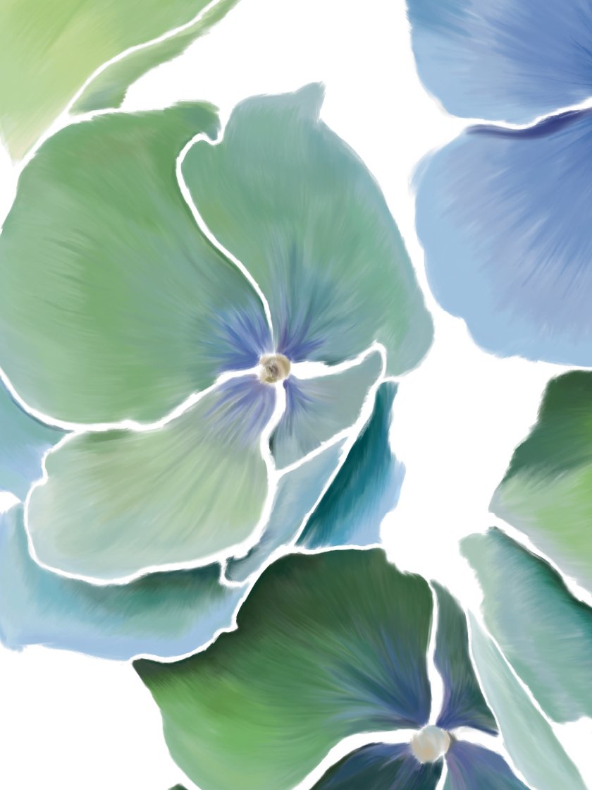 Blaue Hydrangea - Poster