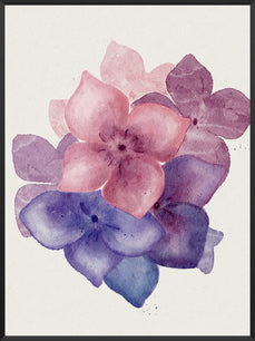 Lila Hydrangea - Poster