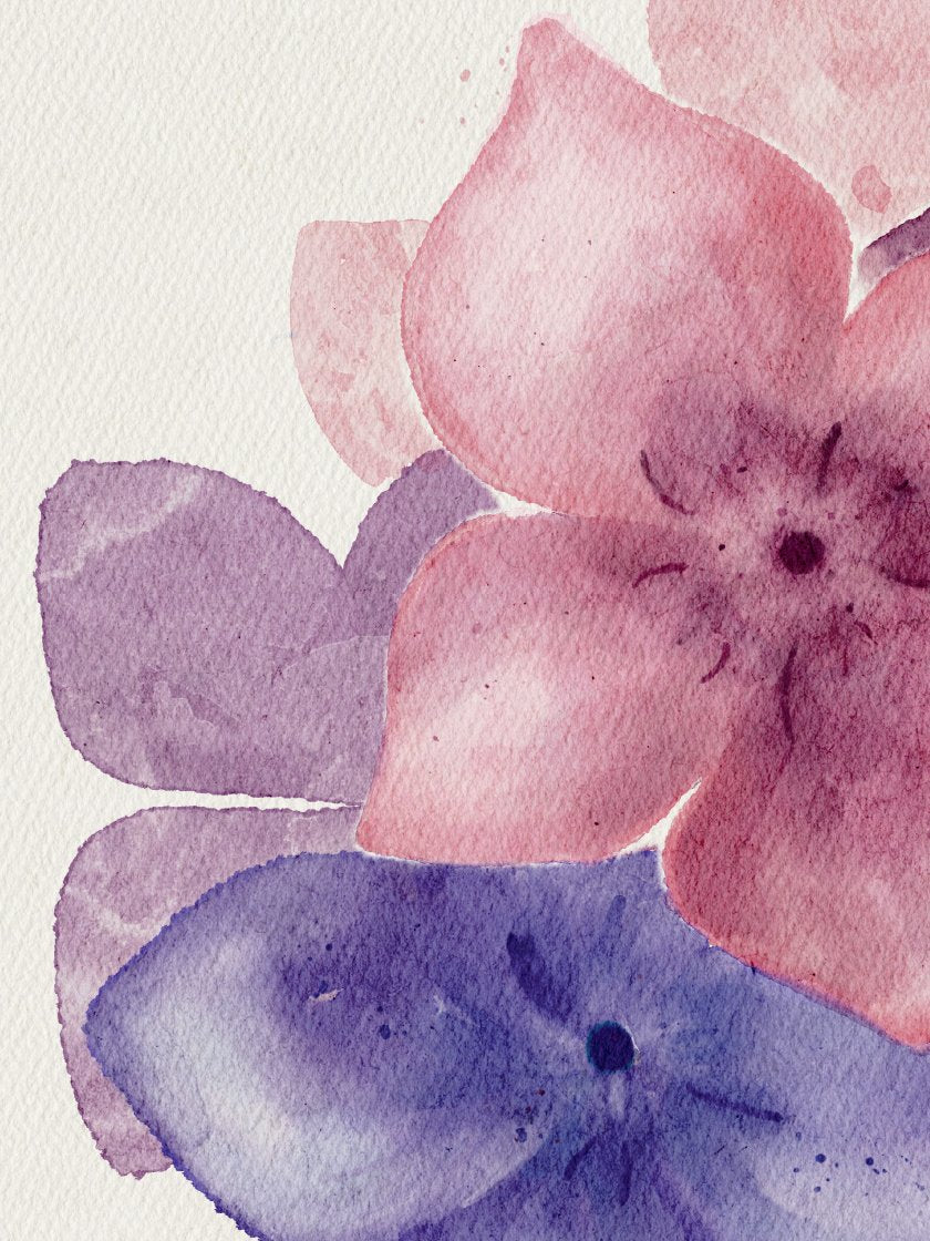 Lila Hydrangea - Poster