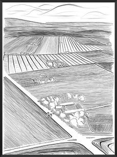 danish-field-poster-product-picture