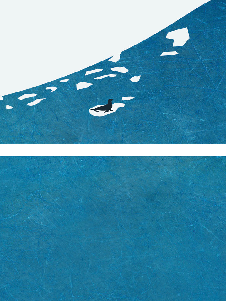 Seal Solitude