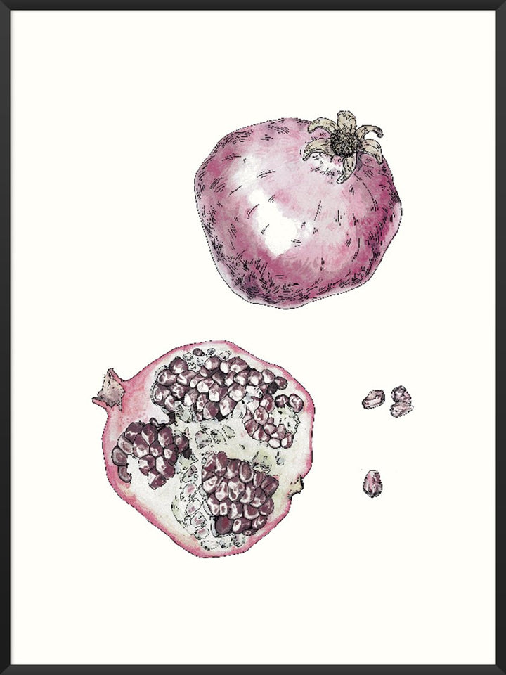 project-nord-vintage-botanical-pomegranate-poster-product-picture