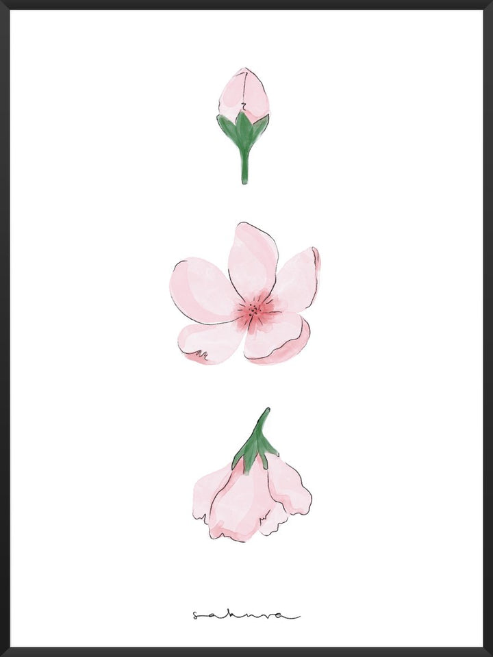 Life of a Sakura - Poster