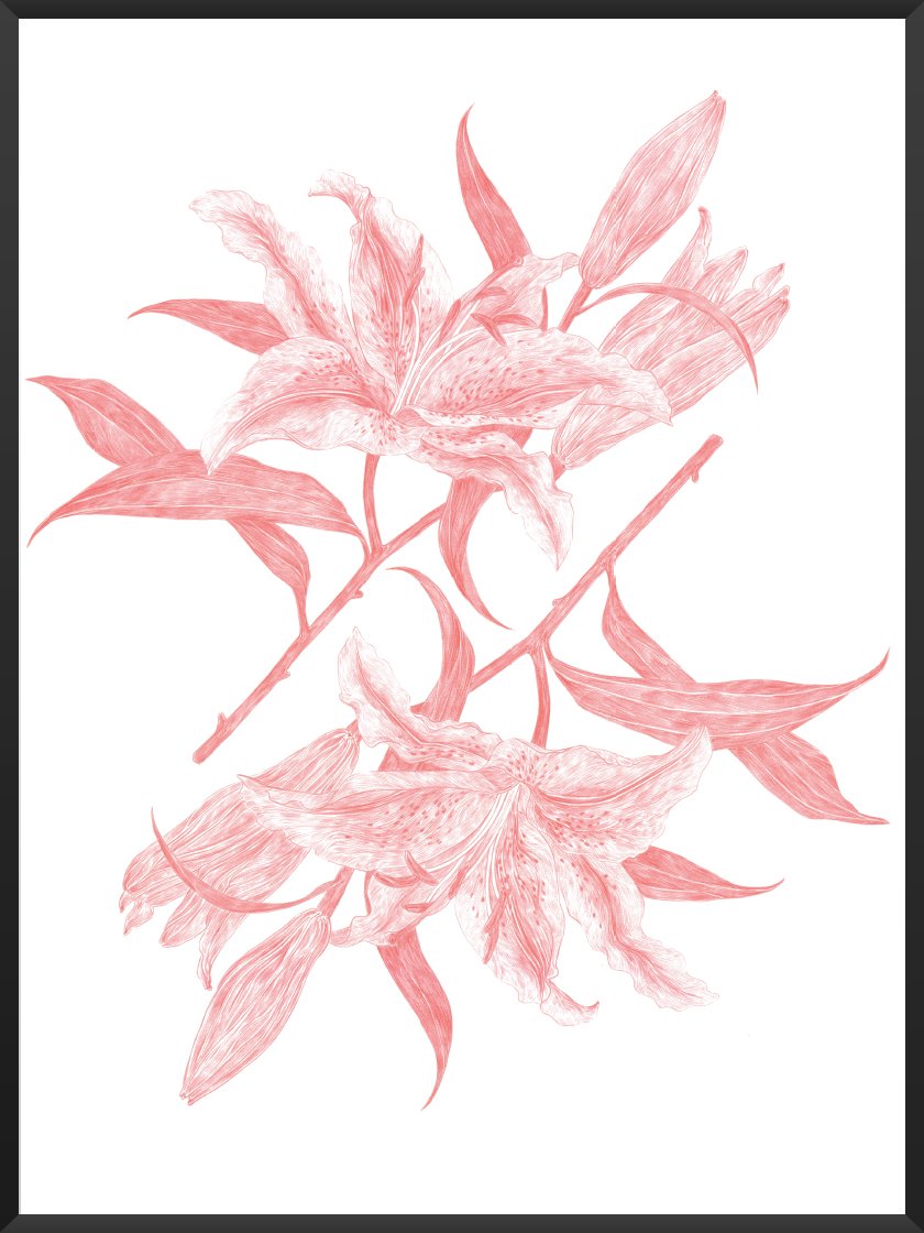 Mirror Lilies - Poster