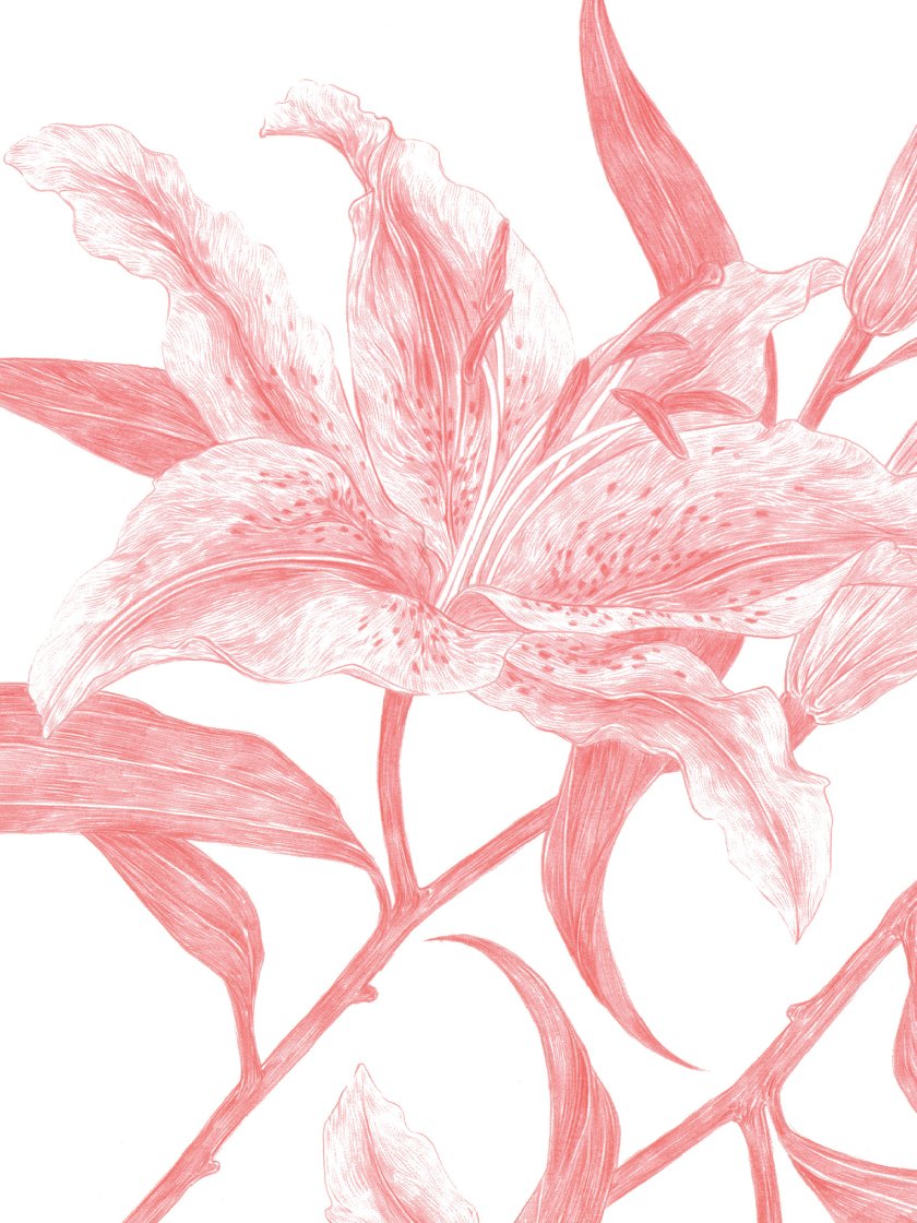 Mirror Lilies - Poster