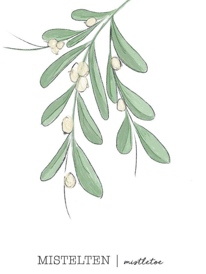 Mistletoe - Poster
