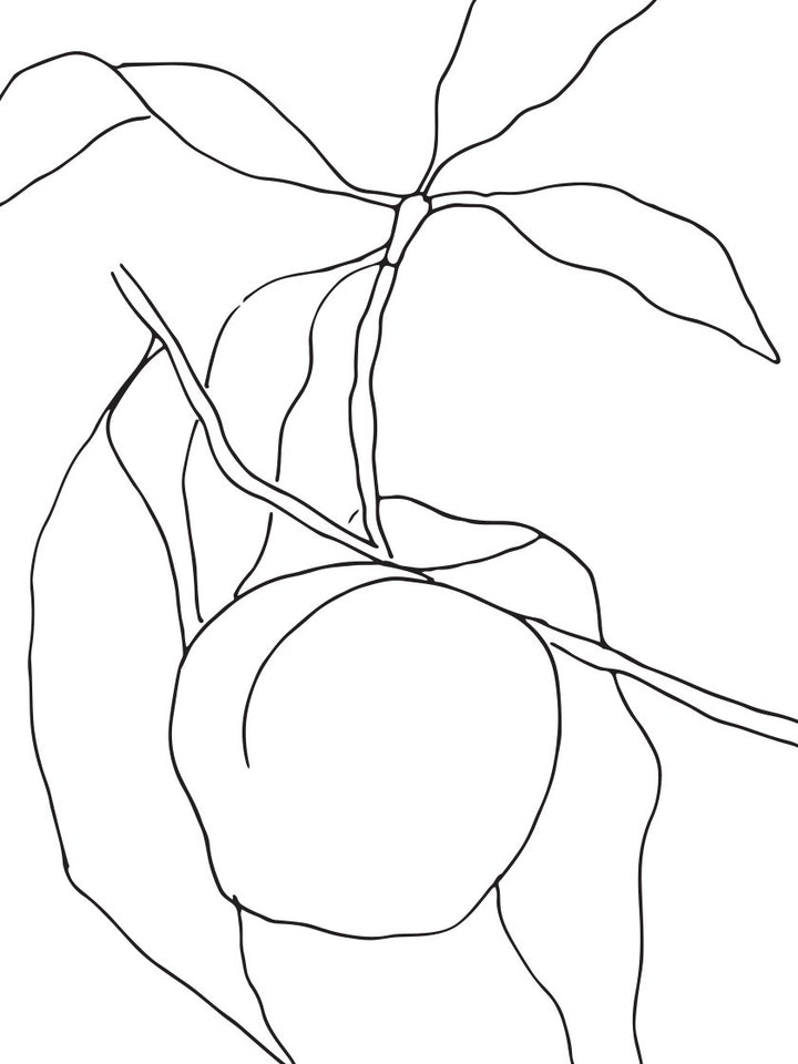 Peach - Line Art Fruit Poster