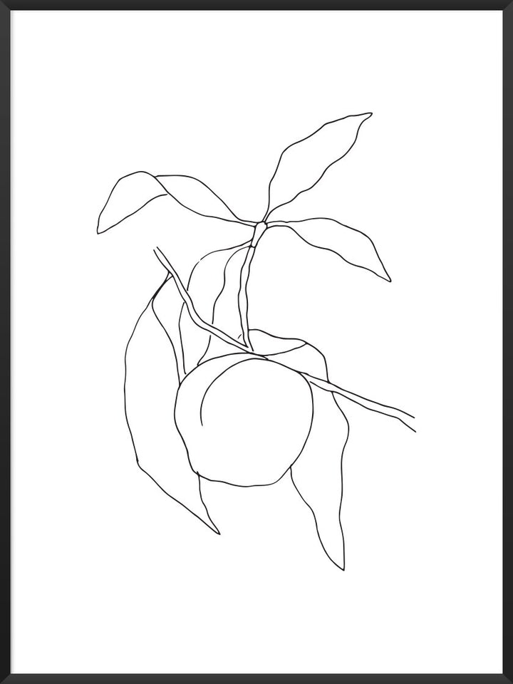Peach - Line Art Fruit Poster