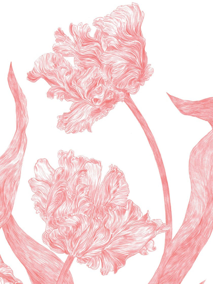 Wild Tulips - Poster