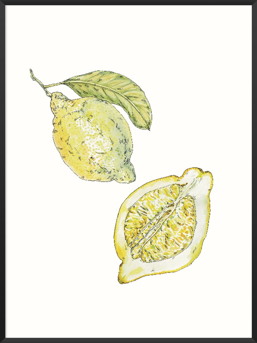 project-nord-hand-painted-vintage-lemon-poster-product-picture