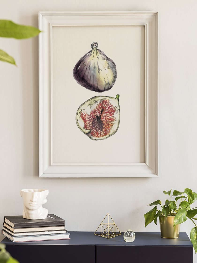 figs-hand-painted-vintage-botanical-poster-in-interior