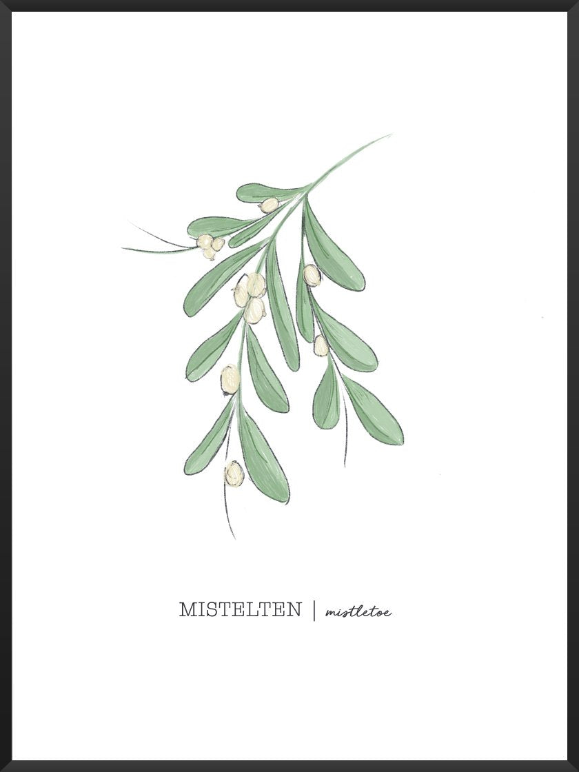 Mistletoe - Poster