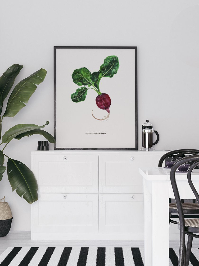 project-nord-vintage-botanical-radish-poster-in-interior-kitchen